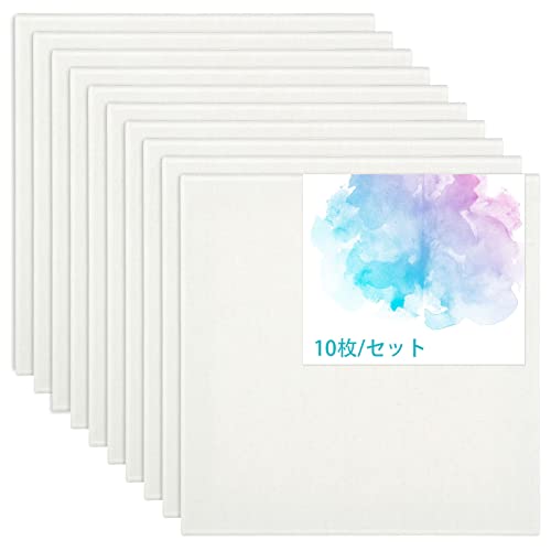 Amazon.co.jp: やぬき キャンバス 30cmx30cm キャンバスボード 10枚